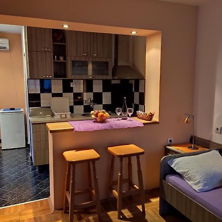 Apartman Ristic Niska Banja Luaran gambar