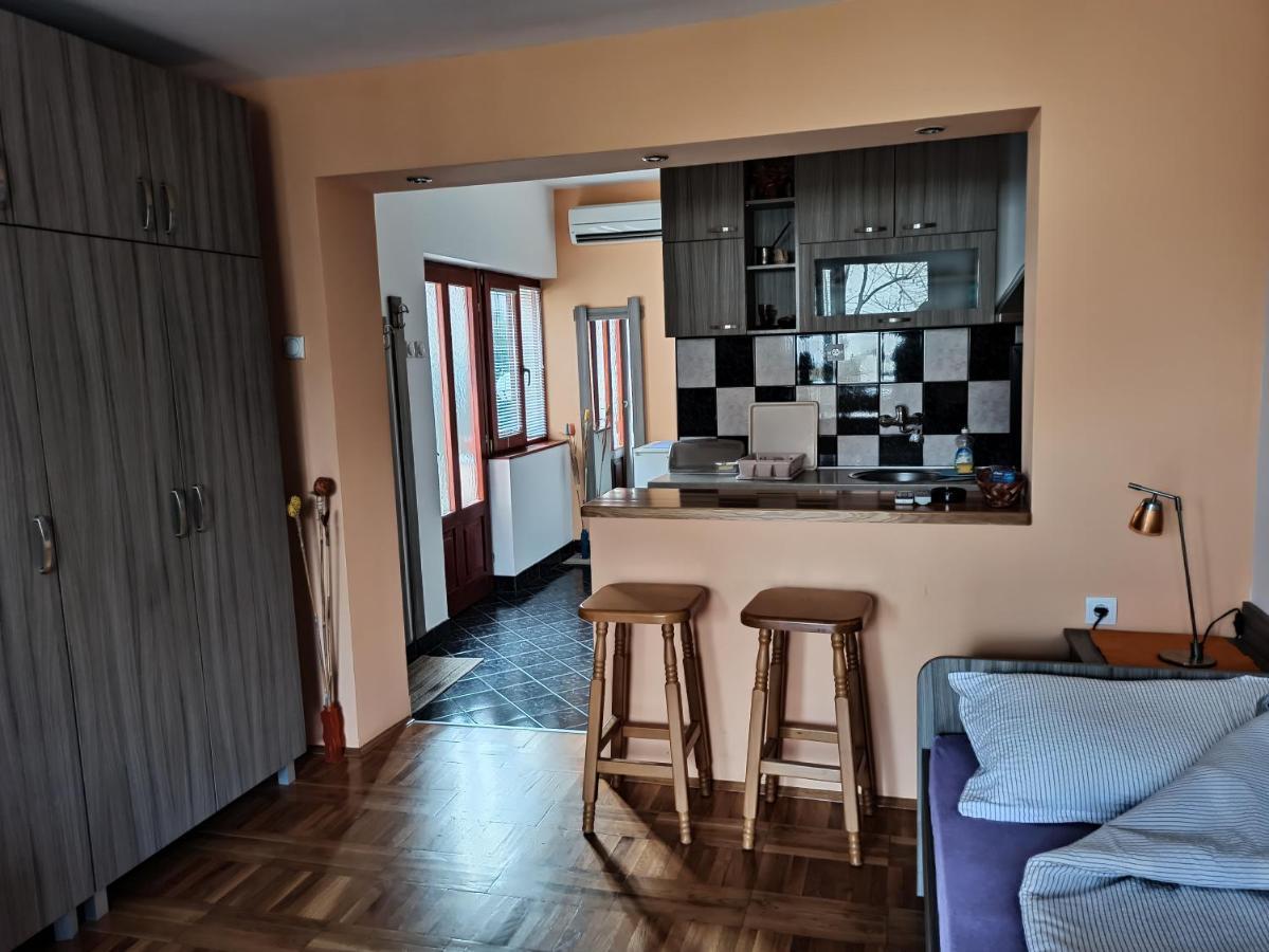 Apartman Ristic Niska Banja Luaran gambar