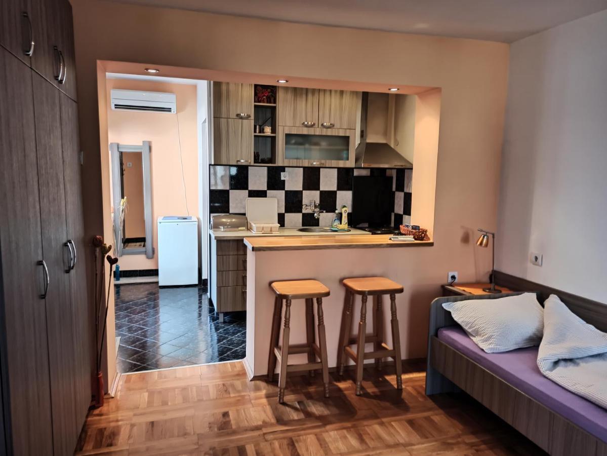 Apartman Ristic Niska Banja Luaran gambar
